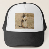 Casquette de chien de prairie (Devant)