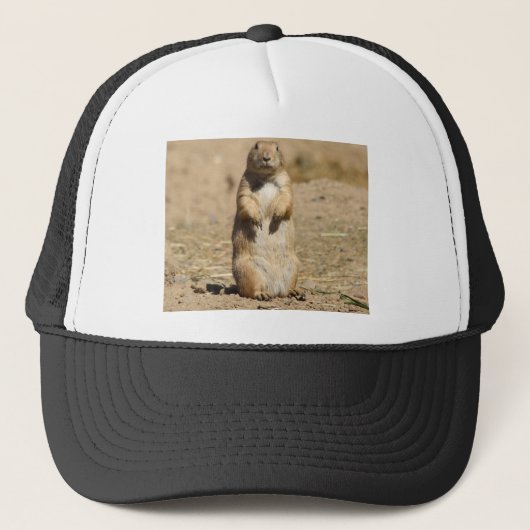 Casquette de chien de prairie (Devant)