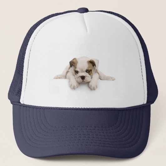 Casquette de chien de Taureau de l'anglais (Devant)