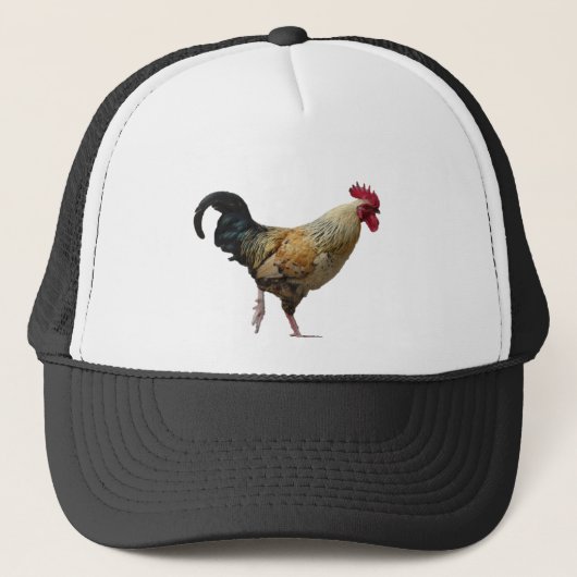 Casquette de coq (Devant)