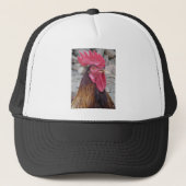 Casquette de coq (Devant)