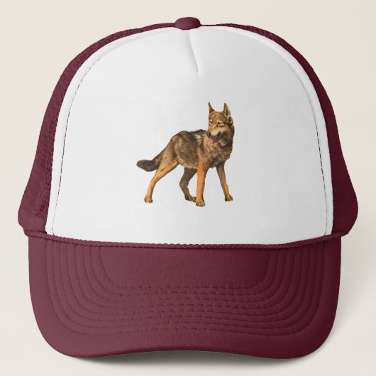 casquette de coyote (Devant)