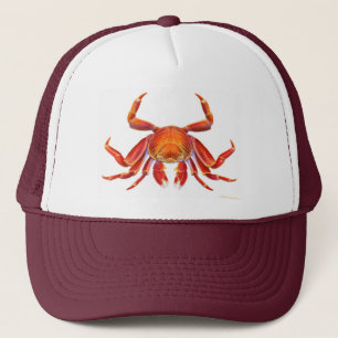 Casquette de crabe de Lightfoot de sortie