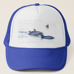 Casquette de dauphins de Bottlenose