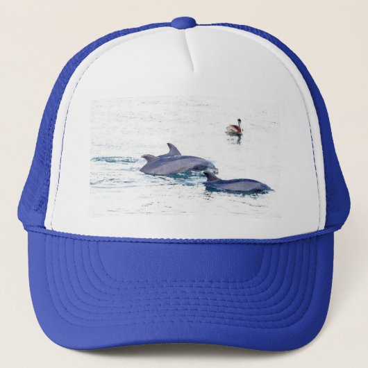 Casquette de dauphins de Bottlenose (Devant)