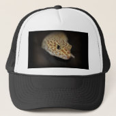 Casquette de Gecko de léopard (Devant)
