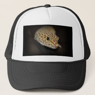 Casquette de Gecko de léopard
