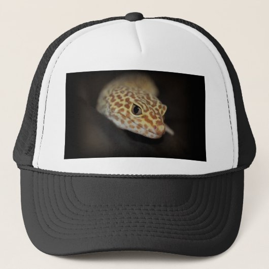 Casquette de Gecko de léopard (Devant)