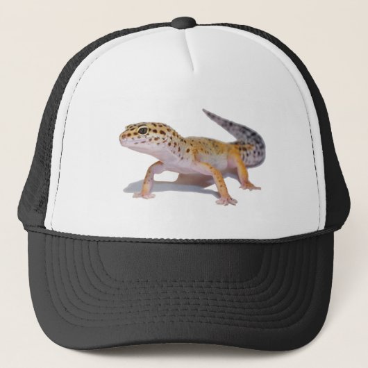 Casquette de Gecko de léopard (Devant)