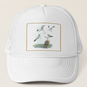 Casquette de goélands argentés