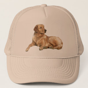 Casquette de golden retriever