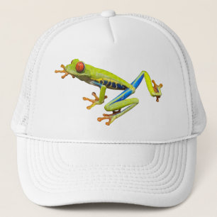 Casquette de grenouille d'arbre
