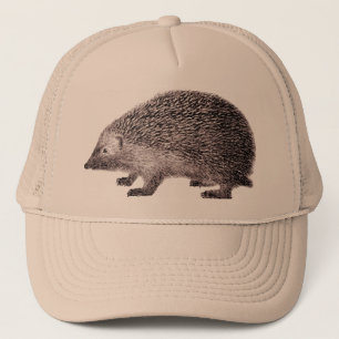Casquette de hérisson
