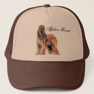 Casquette de Hound afghan