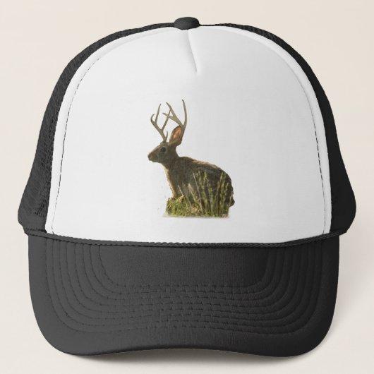 Casquette de Jackalope (Devant)