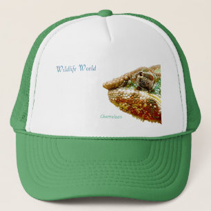 Casquette de la faune