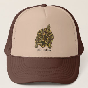 Casquette de la peinture Tortoise étoile noire et