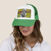 Casquette de labrador retriever en The Field (En situation)
