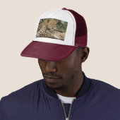 Casquette de léopard (En situation)