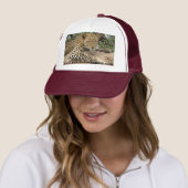 Casquette de léopard (En situation)