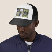 Casquette de Meerkat (En situation)