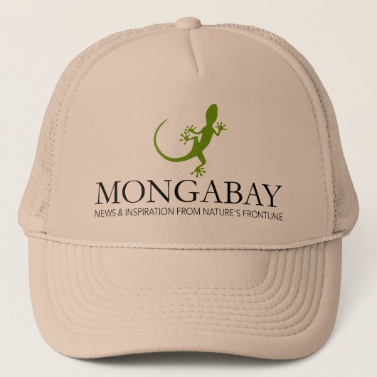 Casquette de Mongabay Lizard (Devant)