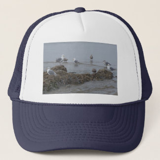 Casquette de mouette
