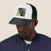 Casquette de Noir-Étalon (En situation)