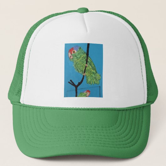 casquette de perroquet vert (Devant)