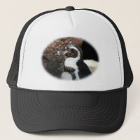 Casquette de pingouin