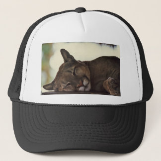 Casquette de puma de sommeil