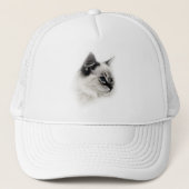 casquette de ragdoll (Devant)