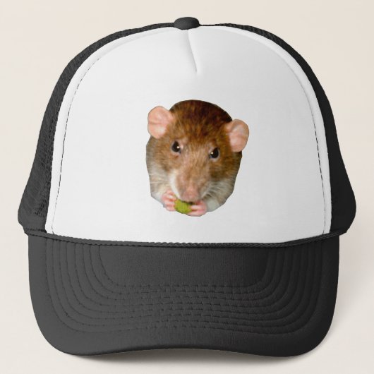 Casquette de rats affamés (Devant)