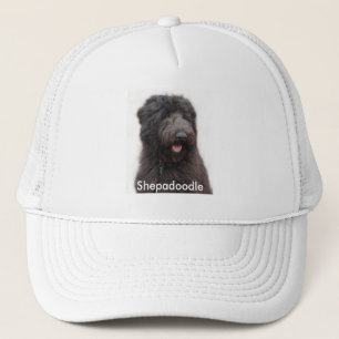 Casquette de Shepadoodle