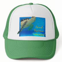 Casquette de Tortuga