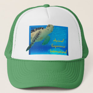 Casquette de Tortuga