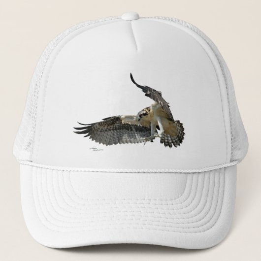Casquette de vol de balbuzard ou de faucon (Devant)