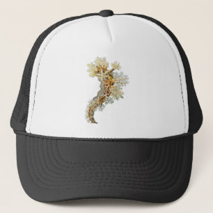Casquette Dendronotus
