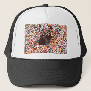 CASQUETTE DES SPRINKLES !