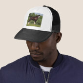 Casquette destin (En situation)
