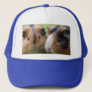 Casquette Deux bébés cochons de Guinée Tortoiseshell,