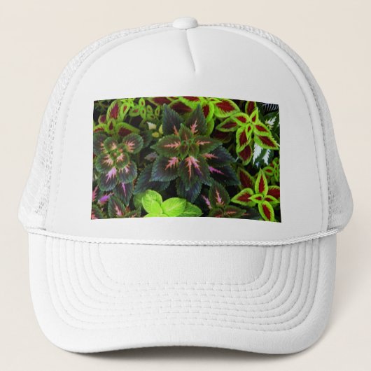Casquette Devenez écolo_ (Devant)
