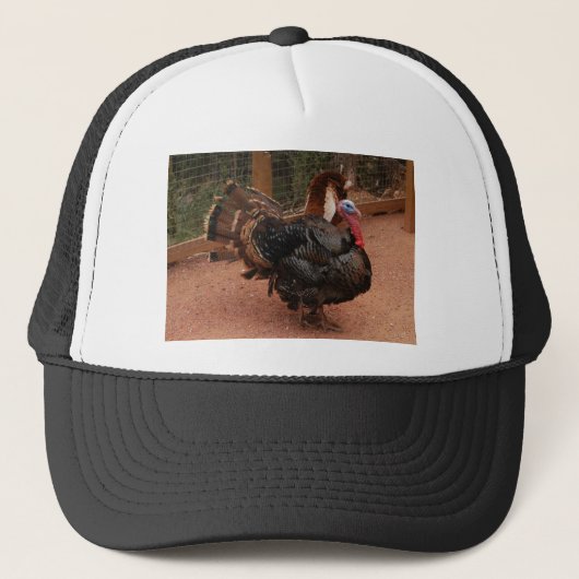 Casquette dinde, thanksgiving (Devant)