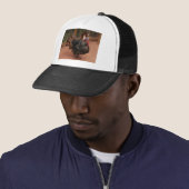 Casquette dinde, thanksgiving (En situation)