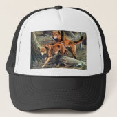 Casquette Dingo australien (Devant)