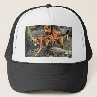 Casquette Dingo australien