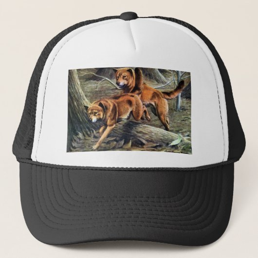 Casquette Dingo australien (Devant)
