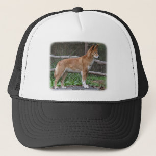 Casquette Dingo australien 9Y209D-268
