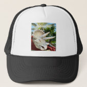 Casquette Dino, (Devant)