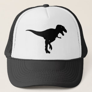 Casquette dinosaures